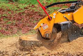 Reliable Muskogee, OK Tree Services Solutions