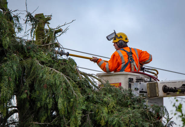 Best Storm Damage Tree Cleanup  in Muskogee, OK