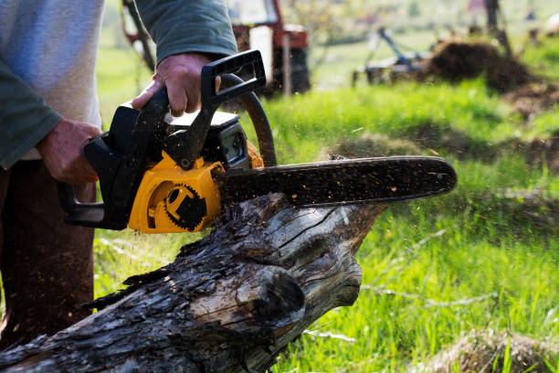 Best Arborist Consultation Services  in Muskogee, OK